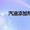 汽油添加剂测试（汽油添加剂的作用）