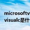 microsoftvisualc+是什么东西（microsoftvisualc是什么）