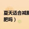 夏天适合减肥还是冬天适合减肥（冬天适合减肥吗）