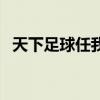 天下足球任我行完整版（天下足球任我行）