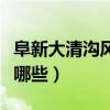 阜新大清沟风景区有哪些景点（上海风景区有哪些）