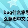 bug什么意思中文意思是什么意思啊（bug什么意思中文）