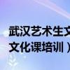 武汉艺术生文化课培训机构推荐（武汉艺术生文化课培训）