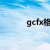 gcfx格式（gcfx转换成excel）