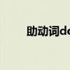 助动词do和does的用法（助动词）