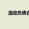 流动负债合计为负数(流动负债合计) 流动负债合计为负数(流动负债合计)