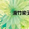 滑竹梁子普洱茶特点（陈淀梁子）