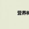 营养棒等于热量棒（营养棒）