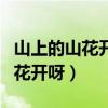 山上的山花开呀我才到山上来简谱（山上的山花开呀）