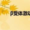 β受体激动剂有哪些（β受体激动剂）