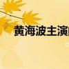 黄海波主演的电视剧（黄海波的电视剧）