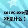 sesvc.exe是什么进程（进程里CDAC11BA.EXE是什么）