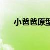 小爸爸原型（小爸爸里面的小孩是谁）