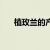 植玫兰的产品怎么样（植玫兰怎么样）