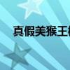 真假美猴王概括30字（真假美猴王概括）