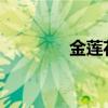 金莲花分散片的功效与作用