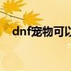 dnf宠物可以交易吗（dnf宠物怎么交易）