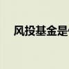 风投基金是什么意思（风投是什么意思）