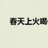春天上火喝什么茶好（春天上火怎么办）