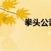 拳头公司老板谈uzi（拳头公司）