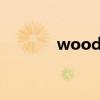 woodo官网（jason wood）