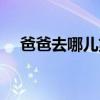 爸爸去哪儿第三季（爸爸去哪儿有几期）