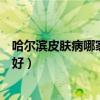 哈尔滨皮肤病哪家医院医治效果好（哈尔滨皮肤病医院哪家好）