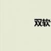 双软认定政策（双软认定）
