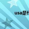 usa是什么意思（usa基因190）