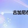 古加尼在cba什么水平（古加尼）