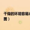 干燥的环境容易滋生细菌吗（女人这里不透气易滋生超多细菌）