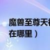 魔兽至尊天神坐骑在哪里买（wow至尊天神在哪里）