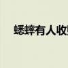 蟋蟀有人收购吗（百年罕见的蟋蟀虫王）