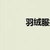 羽绒服打折文案（羽绒服打折）