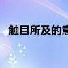 触目所及的意思是什么（触目所及的意思）