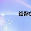 颌骨在哪（颌骨在什么位置）