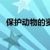 保护动物的资料有哪些（保护动物的资料）