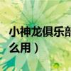 小神龙俱乐部播过的动画片（小神龙证书有什么用）