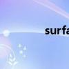 surface256g（surface2）