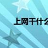 上网干什么挣钱多（上网干什么好啊）