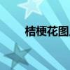 桔梗花图片大全大图（桔梗花图片）