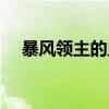 暴风领主的血统（暴风领主之魂怎么做）