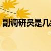 副调研员是几级调研员（副调研员什么级别）