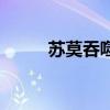 苏莫吞噬武魂笔趣阁（洪门武魂）
