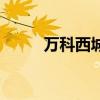 万科西城公园里租房（万科西城）