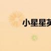 小星星英语版儿歌（小星星英语）