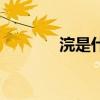 浣是什么生肖（浣肠是什么）