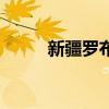 新疆罗布麻茶叶（新疆罗布麻茶）