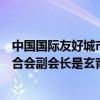 中国国际友好城市联合会网站怎么进不去（中国国际周易联合会副会长是玄青大师么）