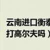 云南进口衡泰信高尔夫价格（云南全年都可以打高尔夫吗）